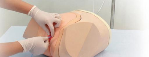 MW2B Catheterization/Enema Simulator Female